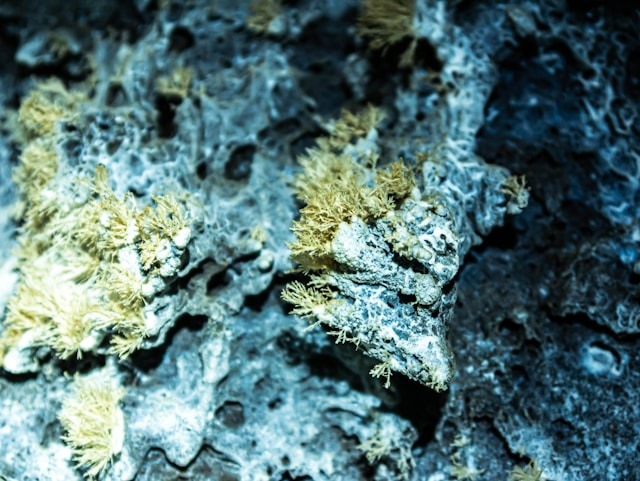 nuove regole amianto