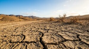 desertificazione