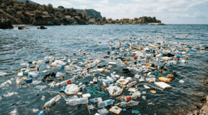 Inquinamento marino – plastica e rifiuti in acqua.